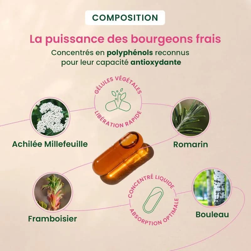 Photo 2 du produit